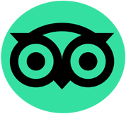 transferstours-in-tripadvisor