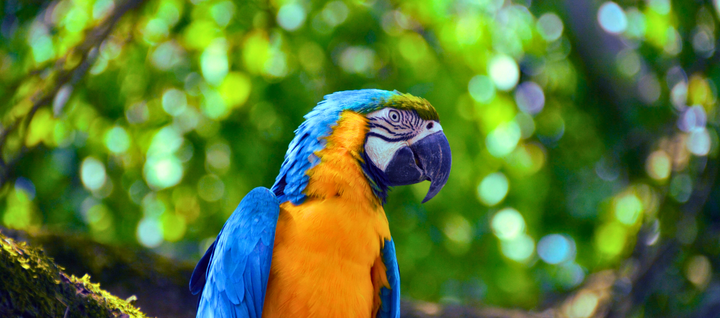 Amazonas Tour Kolumbien