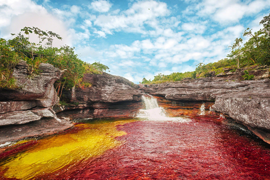 caño cristales el rios de colores