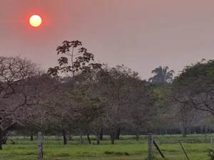 City Tour Llanos Orientales