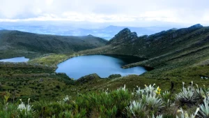 tour parque natural chingaza