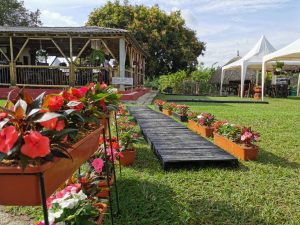 Tour Cafetero Hacienda La Morelia