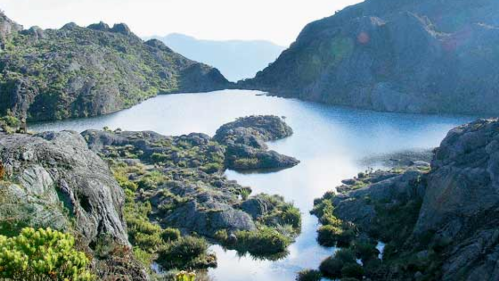 Tour Al Páramo de Santurbán