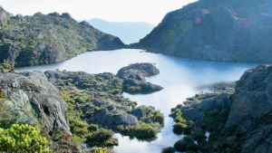 Tour Al Páramo de Santurbán