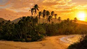 Tour Minca en Santa Marta Naturaleza y Café