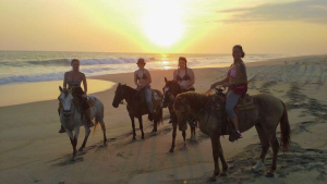 Tour Paseo A Caballo Por La Playa