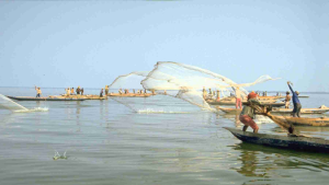 Tour Paseo a Caballo por la Playa Cartagena