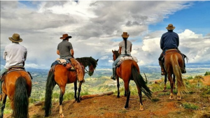 Paseo a Caballo en Medellín | Tour Equino​