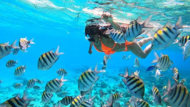 tour de snorkeling en san andrés