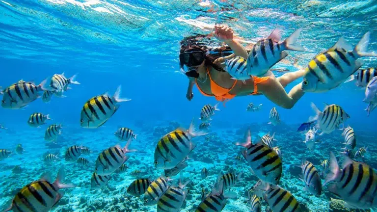 tour de snorkeling en san andrés