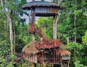 Tour Amazonas de Aventura