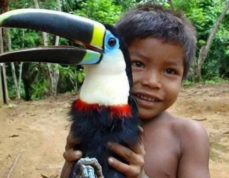 Tour Amazonas Selvas Yahuarcaca