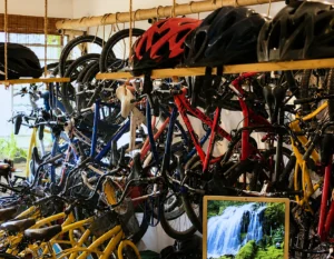 Bicitour Cali