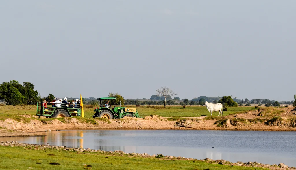 Tour Curiara y/o Pesca