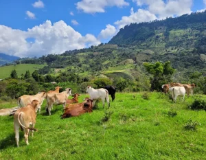 Finca Agroturística la Fortuna