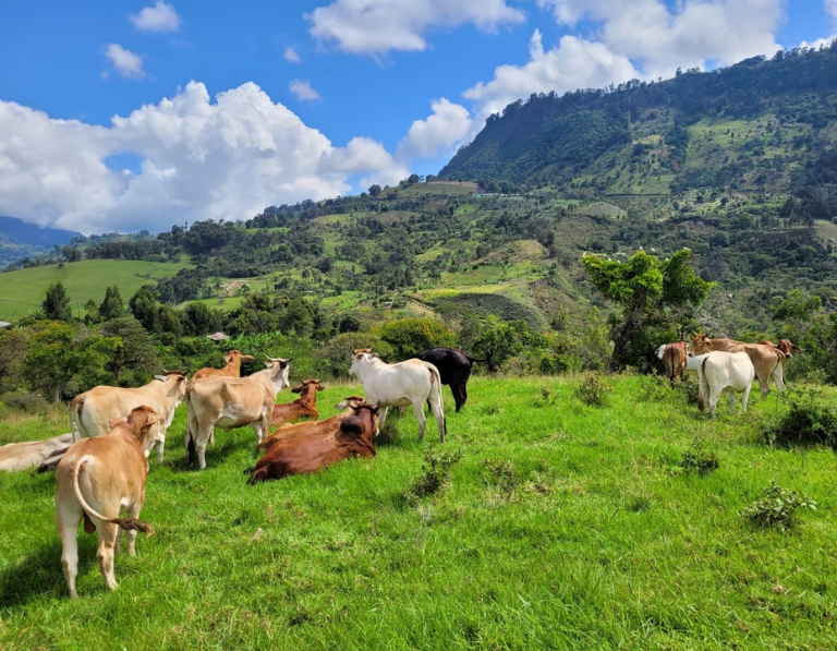 Finca Agroturística la Fortuna