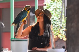 Tour Safari Cultura y Tradición