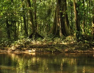 Salidas Puntuales La magia del Putumayo
