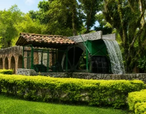 Tour A Las Haciendas Azucareras del valle
