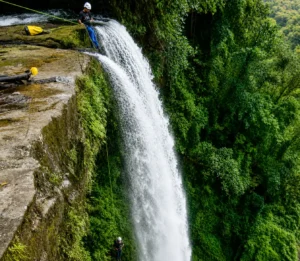 Tour Conexión Con La Selva