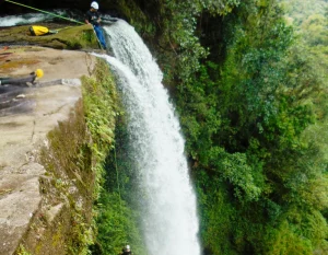 Tour Conexión Con La Selva