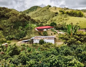 Tour Experiencia Cafetera Cali