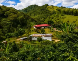 Tour Experiencia Cafetera Cali