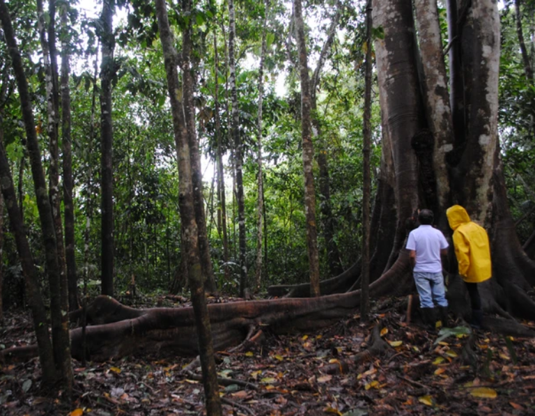 Tour La magia del Putumayo