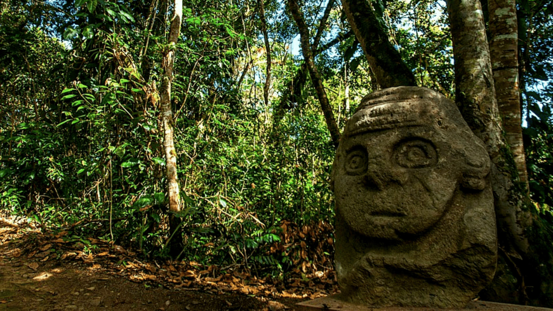 Tour Parque Arqueológico San Agustín