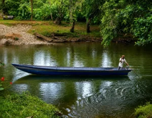 Tour San Cipriano