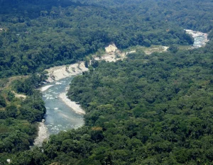 Tour Wellness Ancestral