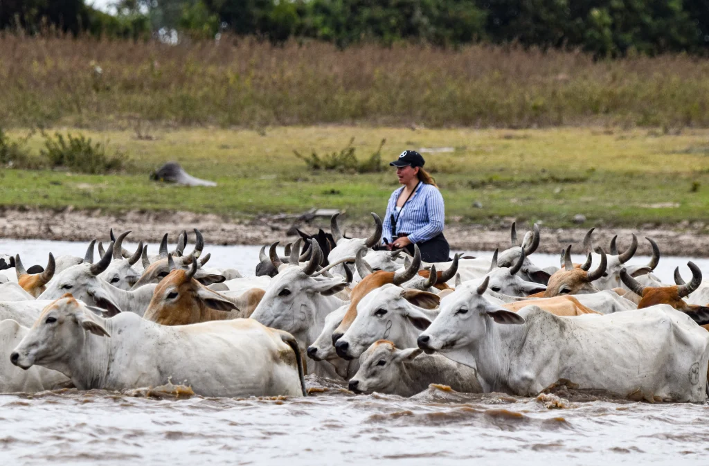 Tour Pasadía Encanto Safari Llanero