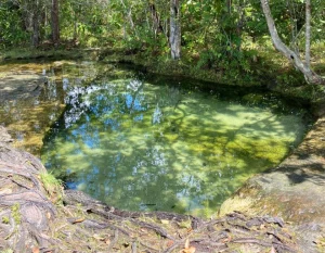 Tour Invierno Guaviare 3 Rutas Inolvidables 3 Días y 2 Noches