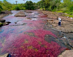 Tour Invierno en Guaviare 4 Rutas Inolvidables 4 Días y 3 Noches