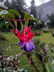 Tour Naturaleza Otún Quimbaya