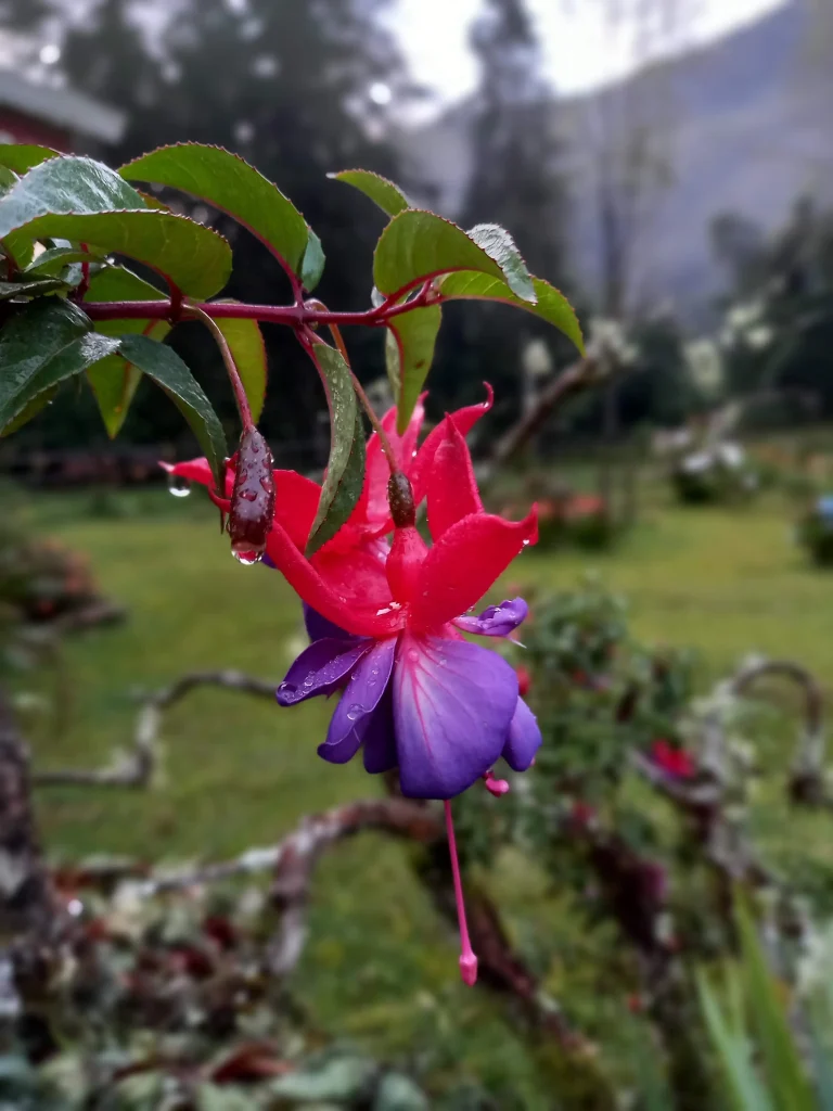 Tour Naturaleza Otún Quimbaya