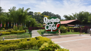 Tour Parque Nacional del Café