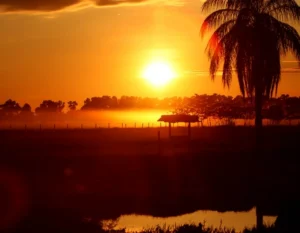 Tour Amanecer Llanero