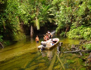 Tour Esteros y Manglares de Ladrilleros