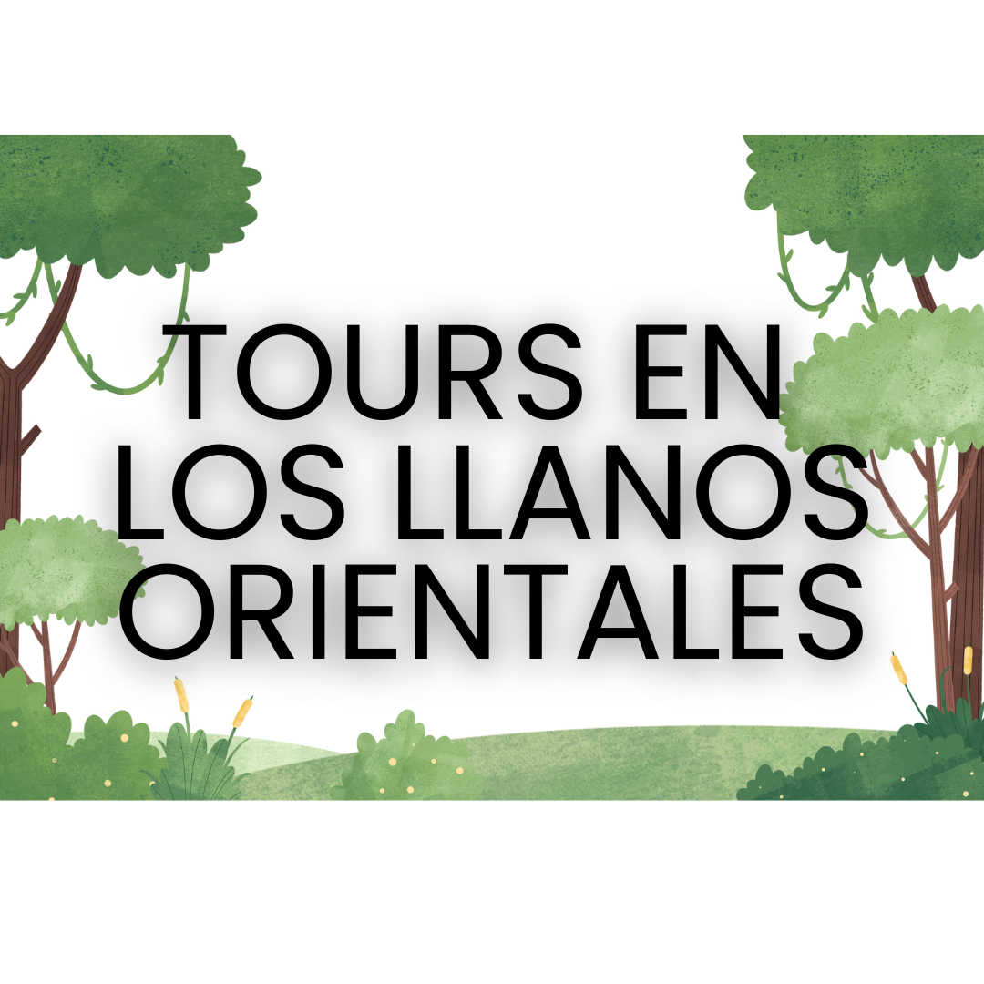 Tours En Los Llanos Orientales