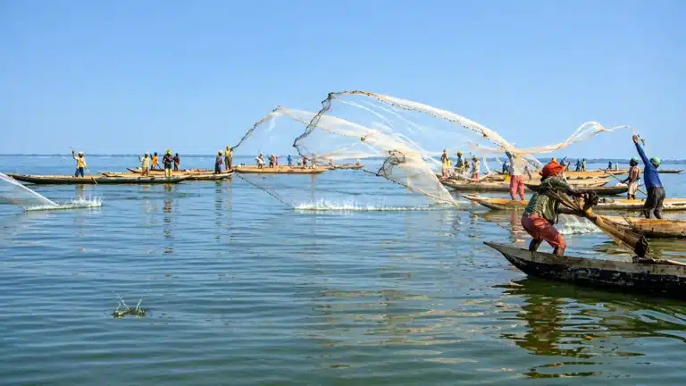 Tour Pesca con Nativos en La Boquilla Cartagena