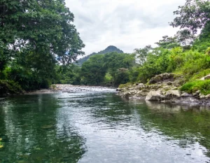 Descubre Mumbú en el Corazón del Chocó