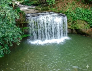 Explora Río de Aromas y la Magia del Chocó