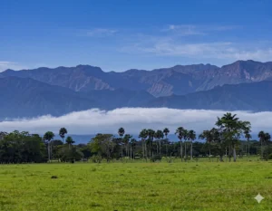 Tour por Piedemonte | Los Llanos de Colombia
