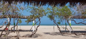 Tour Guajira calmada: Marapo, Cabo y Punta