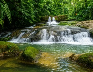 Vive Tutunendo: Paraíso Natural del Chocó