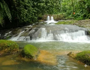Vive Tutunendo: Paraíso Natural del Chocó