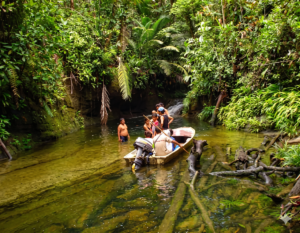 Tour Chocó: Esteros y Manglares de Ladrilleros