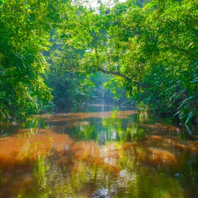Tour Amazonas Selvas y Ríos
