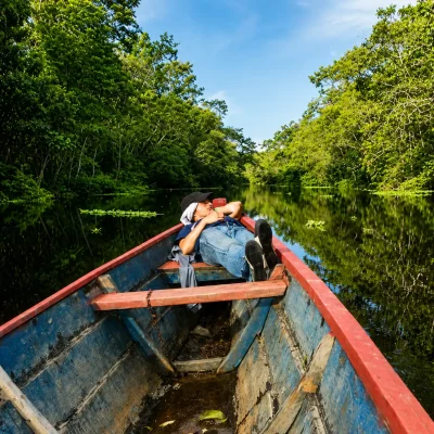 Amazonas-_38_-2